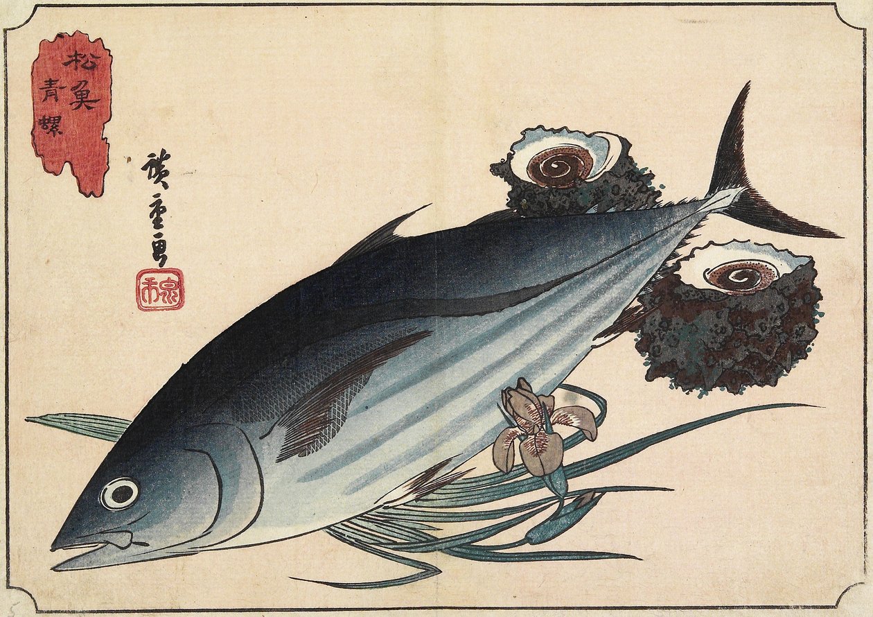 Bonito og Top Shells, begyndelsen af det 19. århundrede af Utagawa Hiroshige