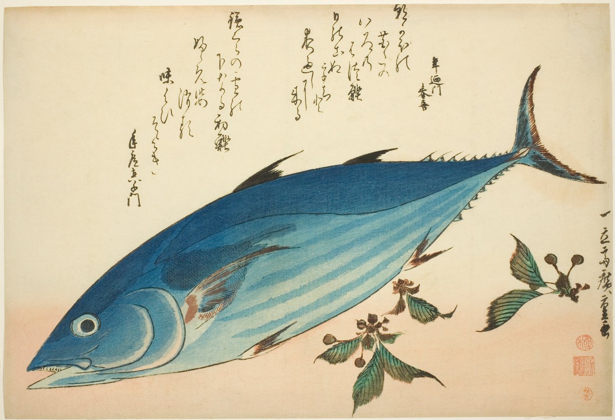 Bonito og saxifrage, fra en unavngivet serie af fisk af Utagawa Hiroshige
