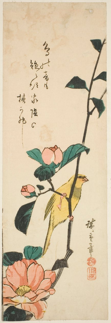 Kanariefugle og kameliaer af Utagawa Hiroshige