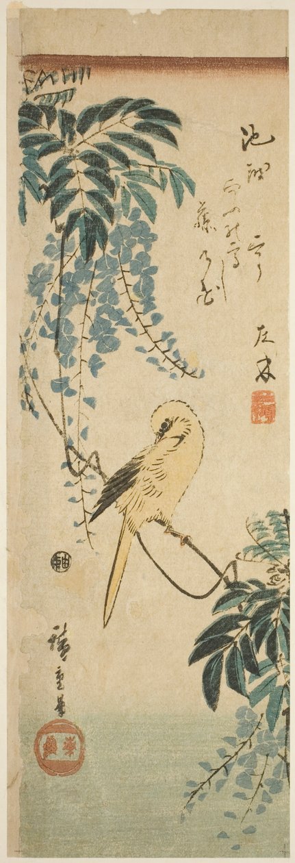 Kanariefugle og blåregn af Utagawa Hiroshige