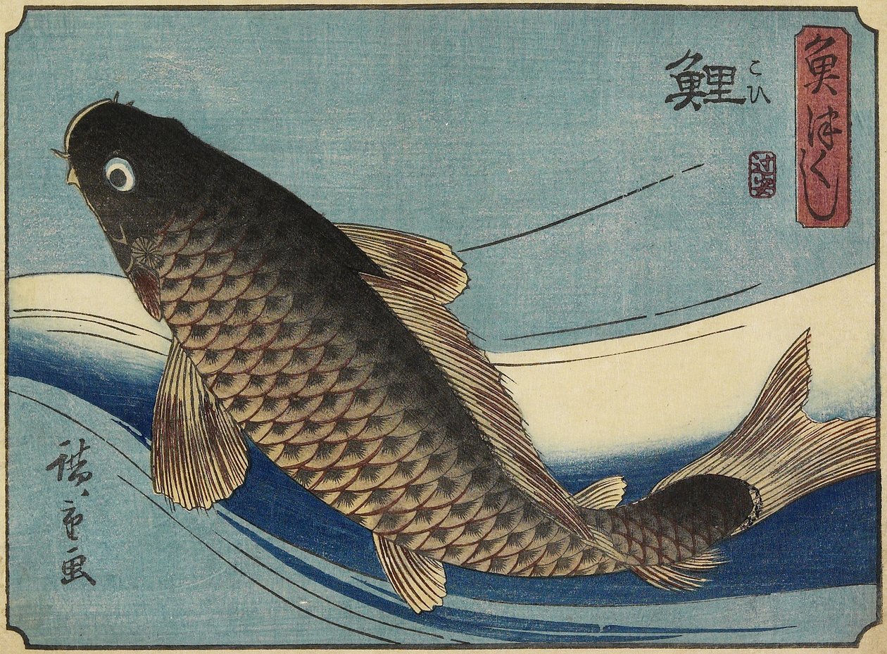 Karpe, 1830-1844 af Utagawa Hiroshige