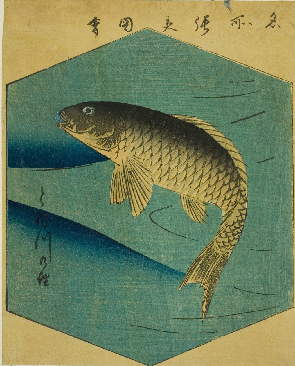 Carp in the Tone River (Tonegawa no koi), sektion af et ark fra serien "Udklippede billeder af berømte steder i Edo (Edo meisho harimaze zue)" af Utagawa Hiroshige