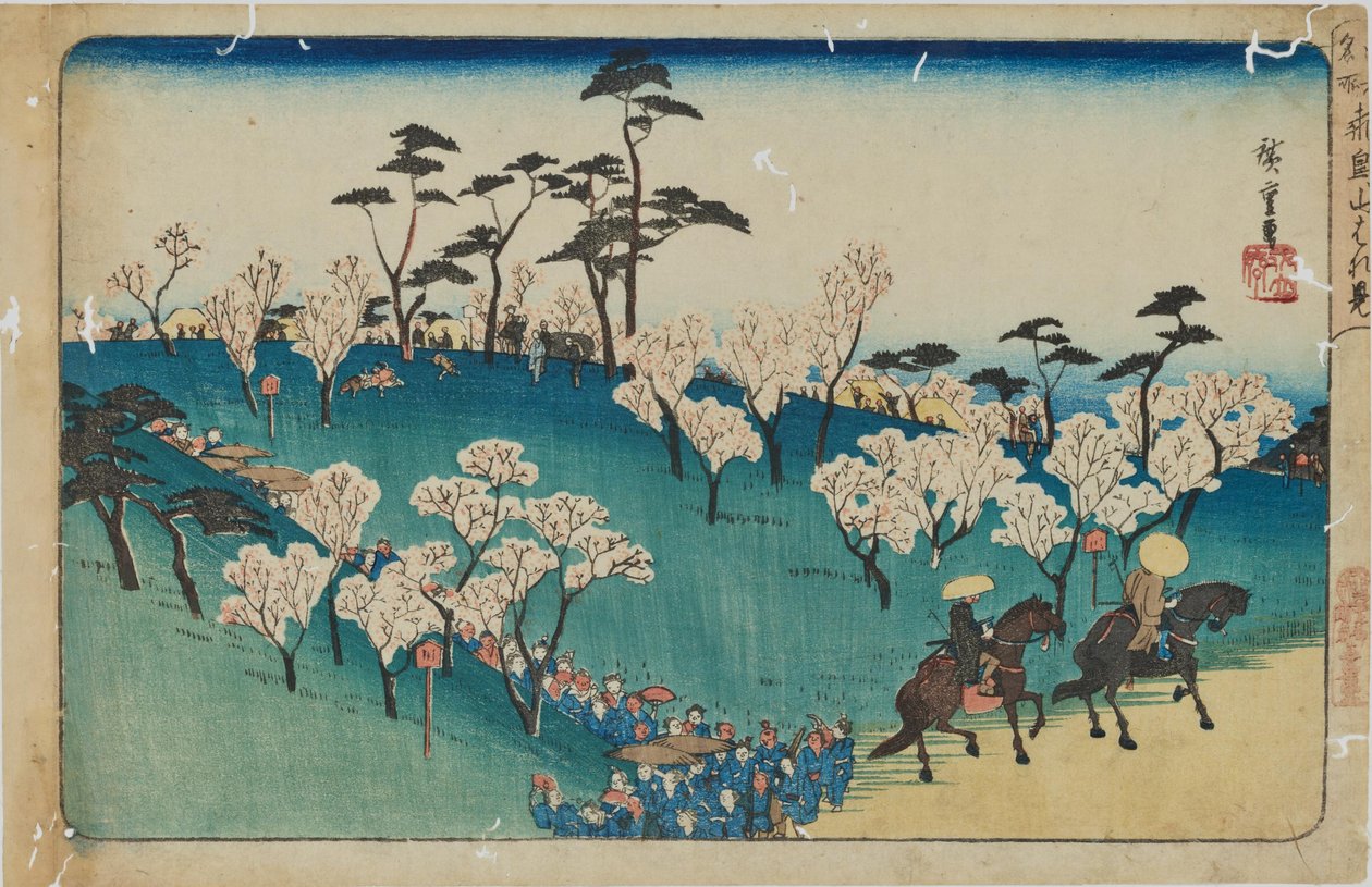 »Kirsebærblomstskue på Asuka-bakken« fra serien »Berømte steder i Edo« af Utagawa Hiroshige