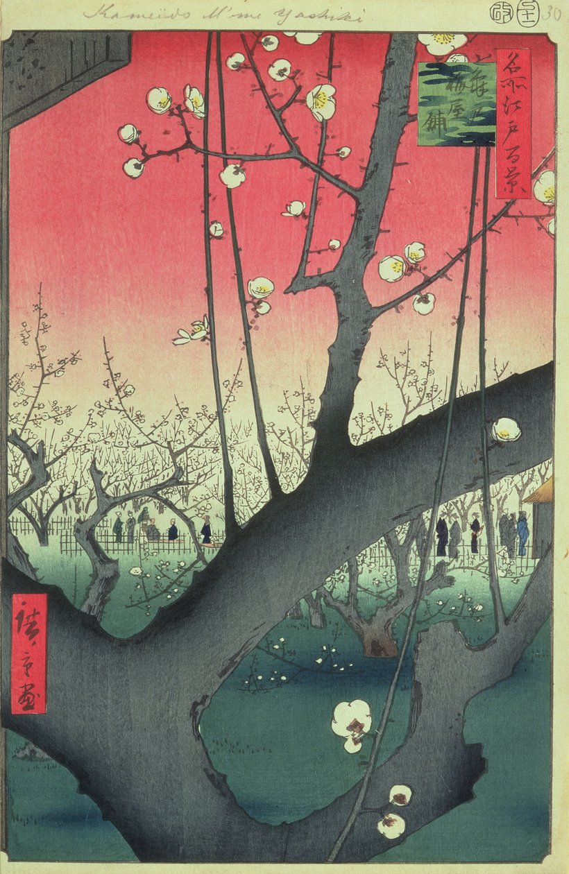 Cherry Blossom, fra One Hundred Famous Views of Edo (træbloktryk) af Utagawa Hiroshige