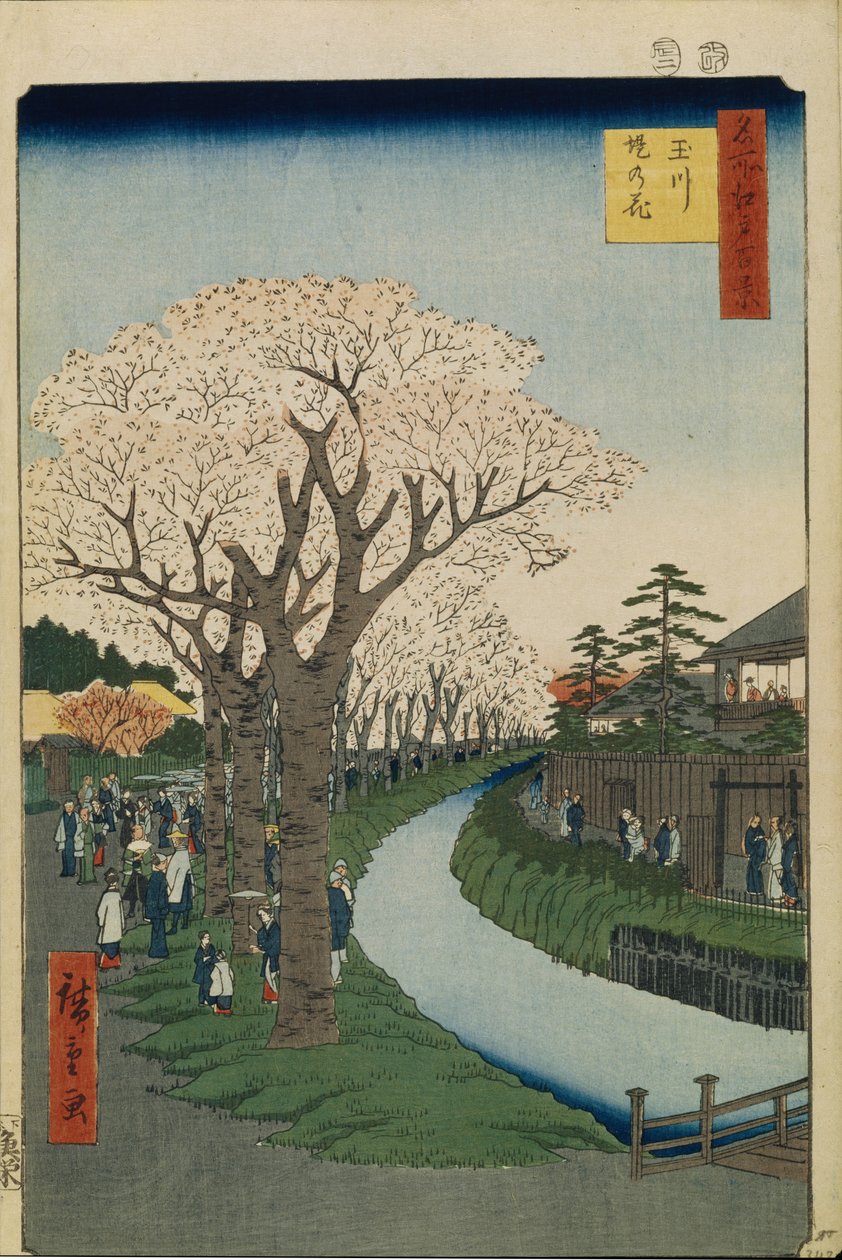 Kirsebærblomster på bredden af Tama-floden Hundrede berømte udsigter over Edo, 1856-1858 af Utagawa Hiroshige
