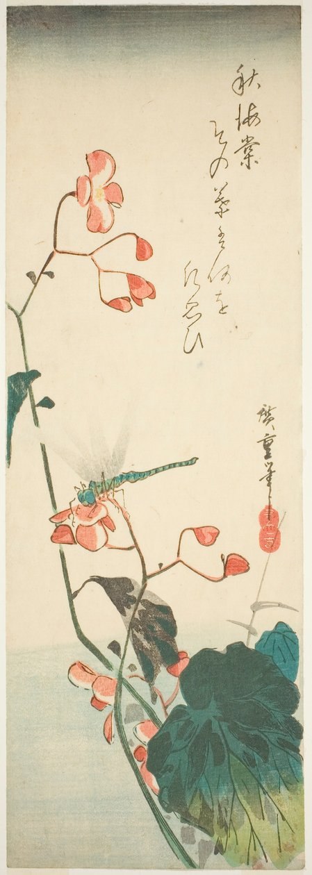 Dragonfly og begonia af Utagawa Hiroshige
