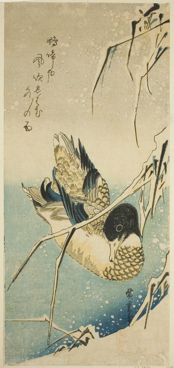 Ænder i sne af Utagawa Hiroshige