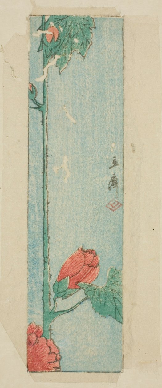 Konvolut med hibiscus af Utagawa Hiroshige