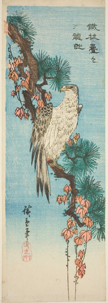 Falk på efeubeklædt fyrregren af Utagawa Hiroshige