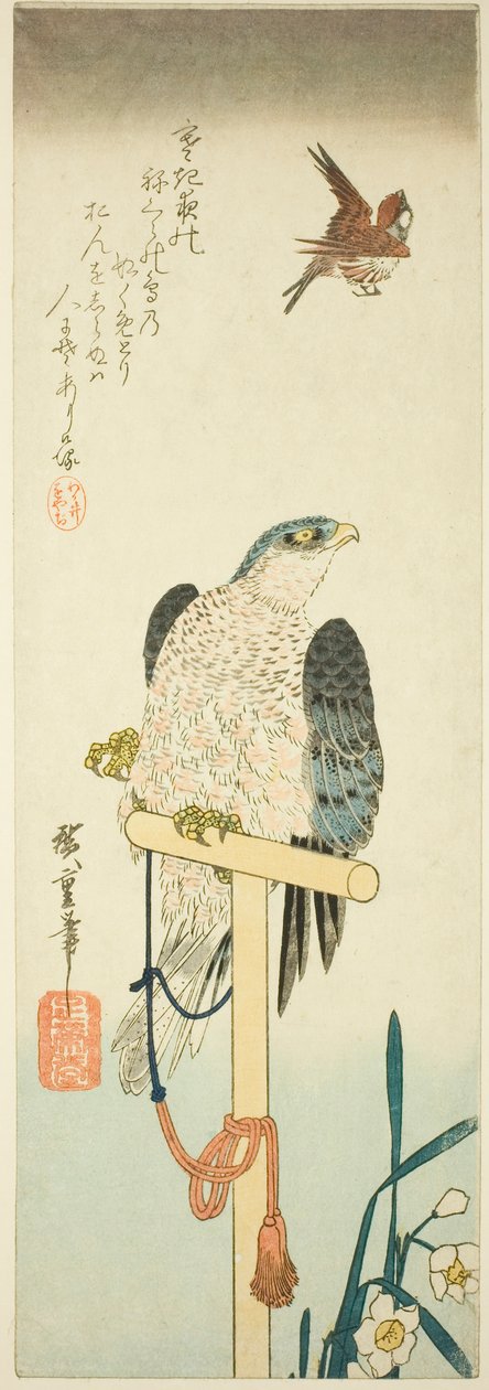 Falk, spurv og narcisser af Utagawa Hiroshige