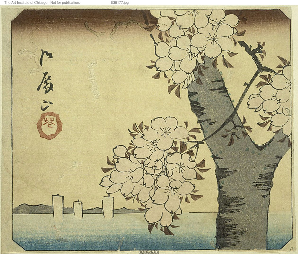 Blomster ved Goten Hill (Gotenyama, hana), sektion af et ark fra serien "Udskæringer af berømte steder i Edo (Harimaze Koto meisho)" af Utagawa Hiroshige