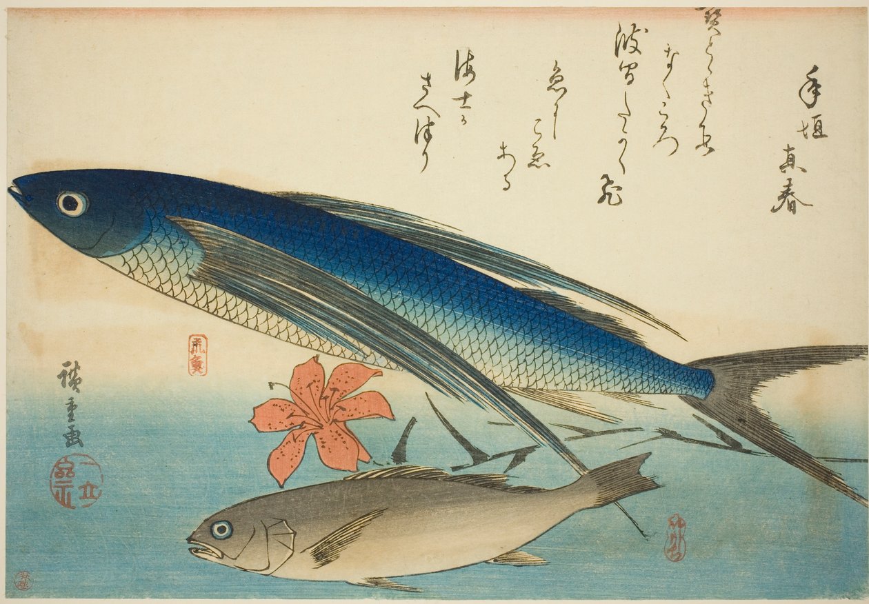 Flyvefisk og Ichimochi, fra en unavngiven serie af fisk af Utagawa Hiroshige