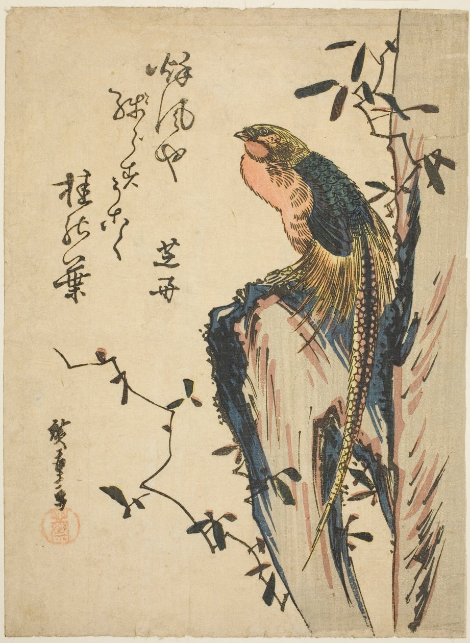 Guldfasan af Utagawa Hiroshige