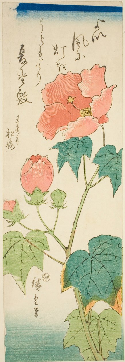 Hibiscus af Utagawa Hiroshige