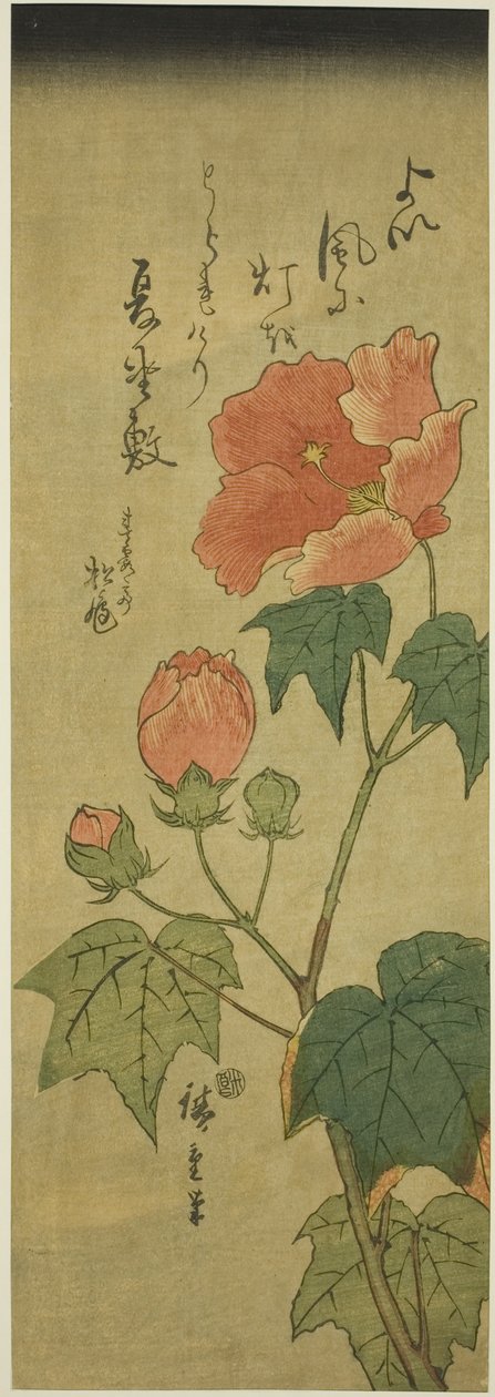 Hibiscus af Utagawa Hiroshige
