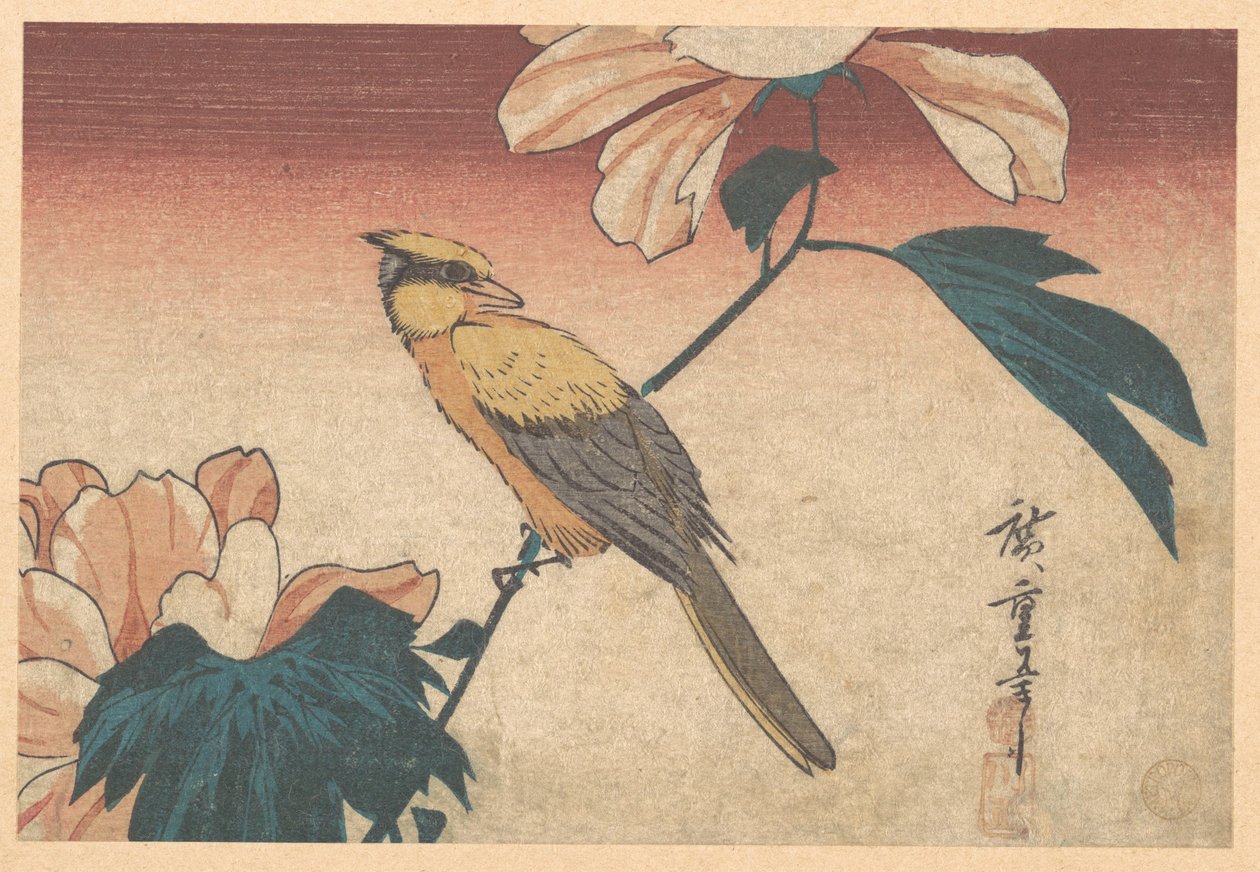 Hibiscus mutabilis og Jay af Utagawa Hiroshige