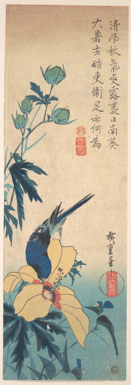 Hibiscus og blåfugl af Utagawa Hiroshige