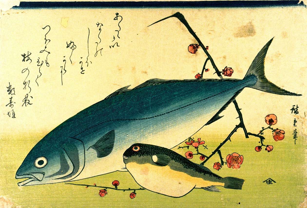 Hiroshige En stime af fisk Fugu Yellowtail af Utagawa Hiroshige