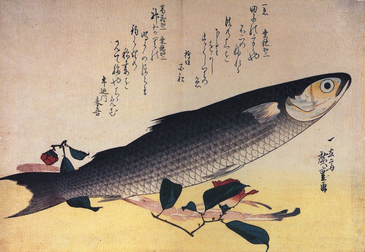 Hiroshige Grå multe og kamelia af Utagawa Hiroshige