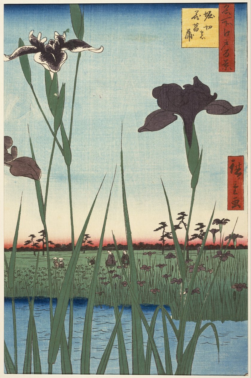 Horikiri Iris Garden (Horikiri no hanashōbu), fra serien Hundrede berømte udsigter over Edo (Meisho Edo hyakkei) af Utagawa Hiroshige
