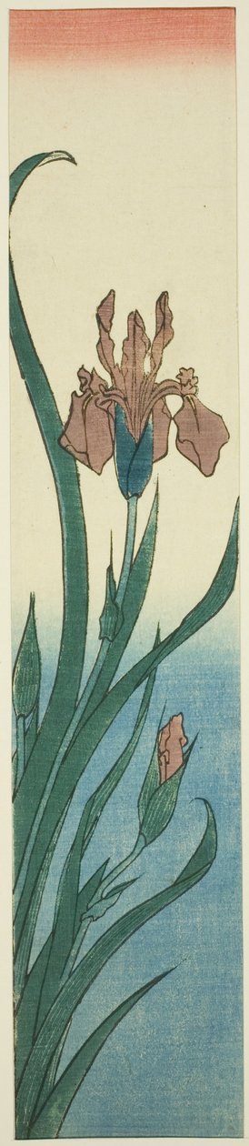 Iris af Utagawa Hiroshige