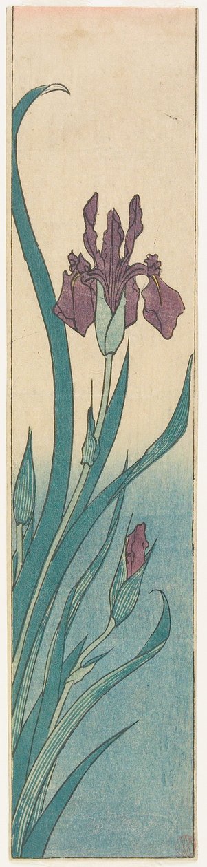 Iris af Utagawa Hiroshige