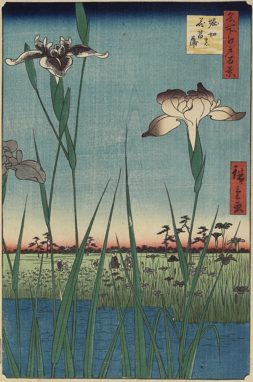 Iris Garden at Horikiri, May 1857 af Utagawa Hiroshige