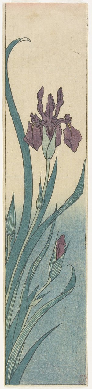 Iris, begyndelsen af det 19. århundrede af Utagawa Hiroshige