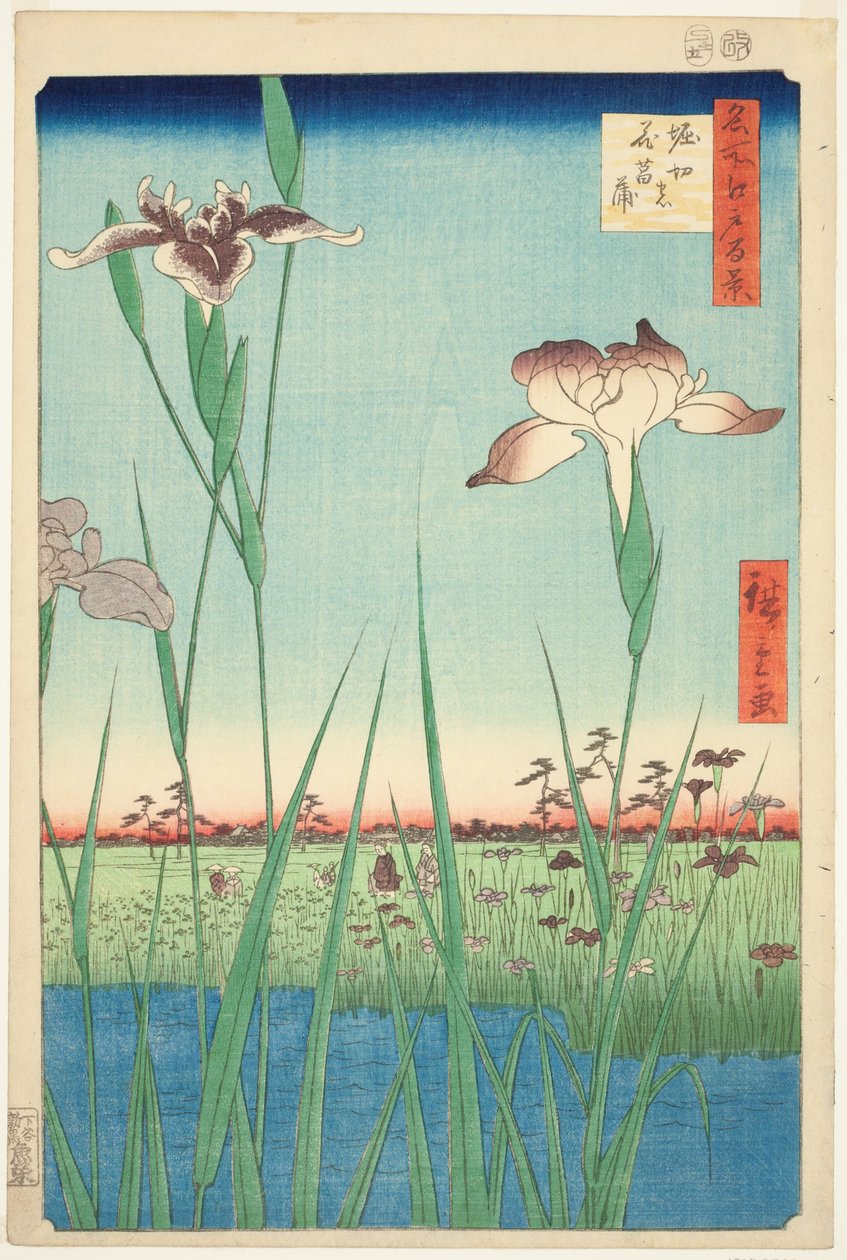 Irase s at Horikiri (Horikiri no Hanadokorobe), fra seriens ``Ridge dre d fa net s views of Edo (One Hundred Famous Views of Edo)