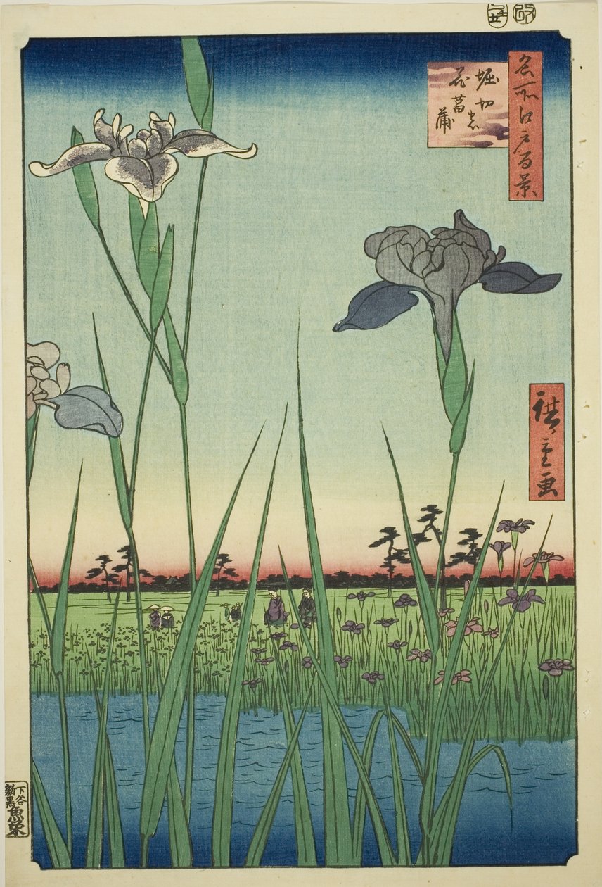 Irase s at Horikiri (Horikiri no Hanadokorobe), fra seriens ``Ridge dre d fa net s views of Edo (One Hundred Famous Views of Edo)