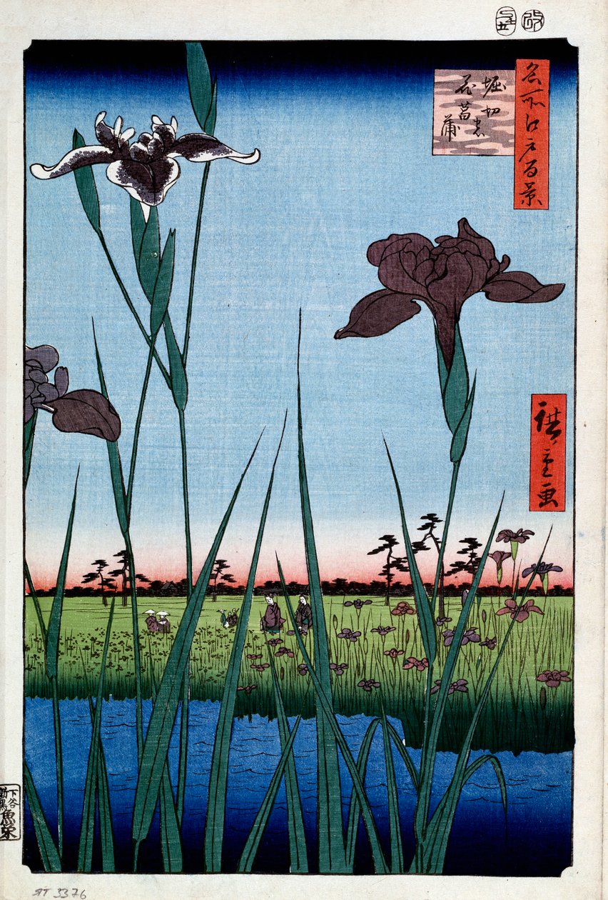 Iriser ved Horikiri Et hundrede berømte udsigter over Edo, 1856-1858. af Utagawa Hiroshige
