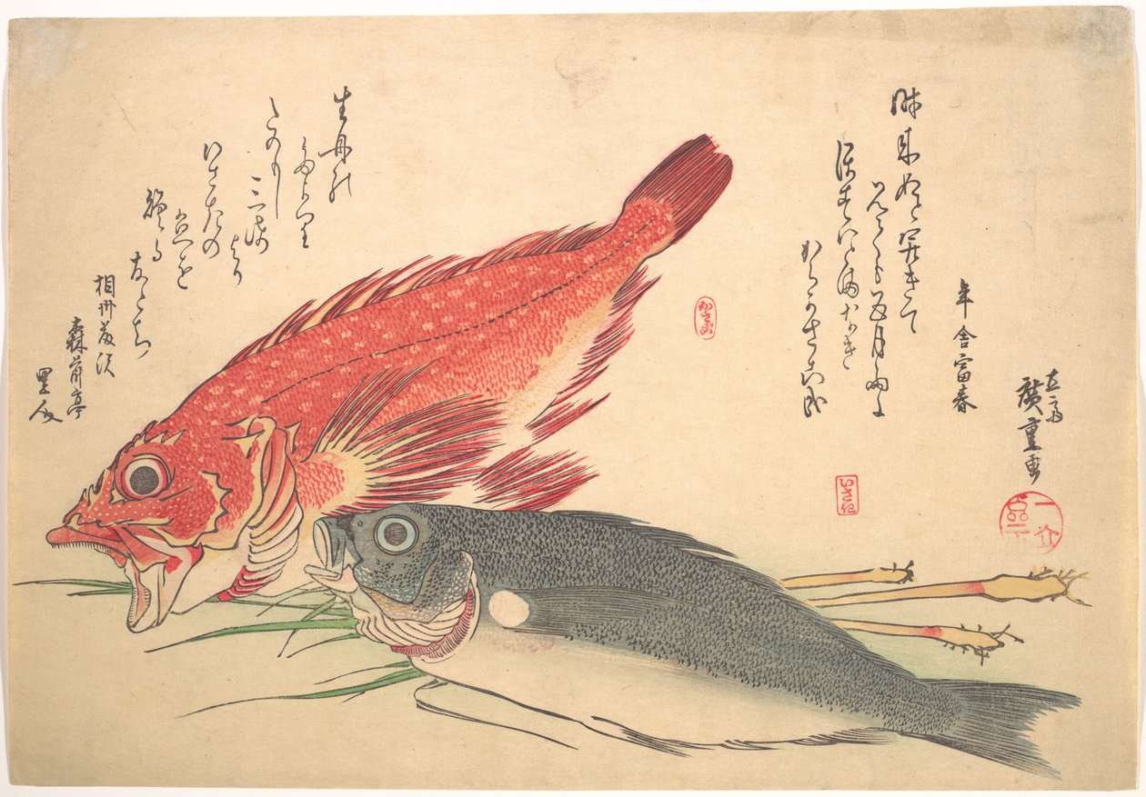 Isaki- og Kasago-fisk, fra serien Uozukushi (Alle slags fisk) af Utagawa Hiroshige