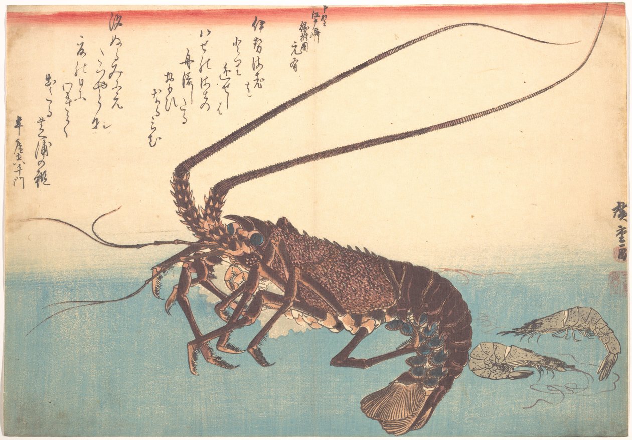Ise-ebi og Shiba-ebi, fra serien Uozukushi (Alle slags fisk) af Utagawa Hiroshige