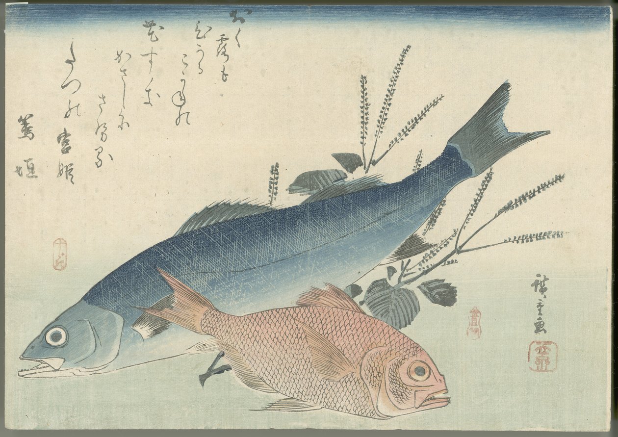 Japansk havaborre, gyldenøjet havbrasen og shiso-plante af Utagawa Hiroshige