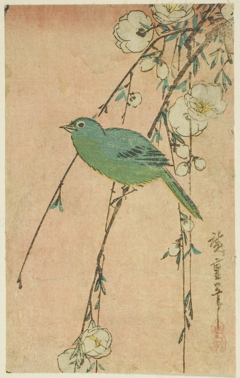 Japansk hvide øjne og grædende kirsebær af Utagawa Hiroshige