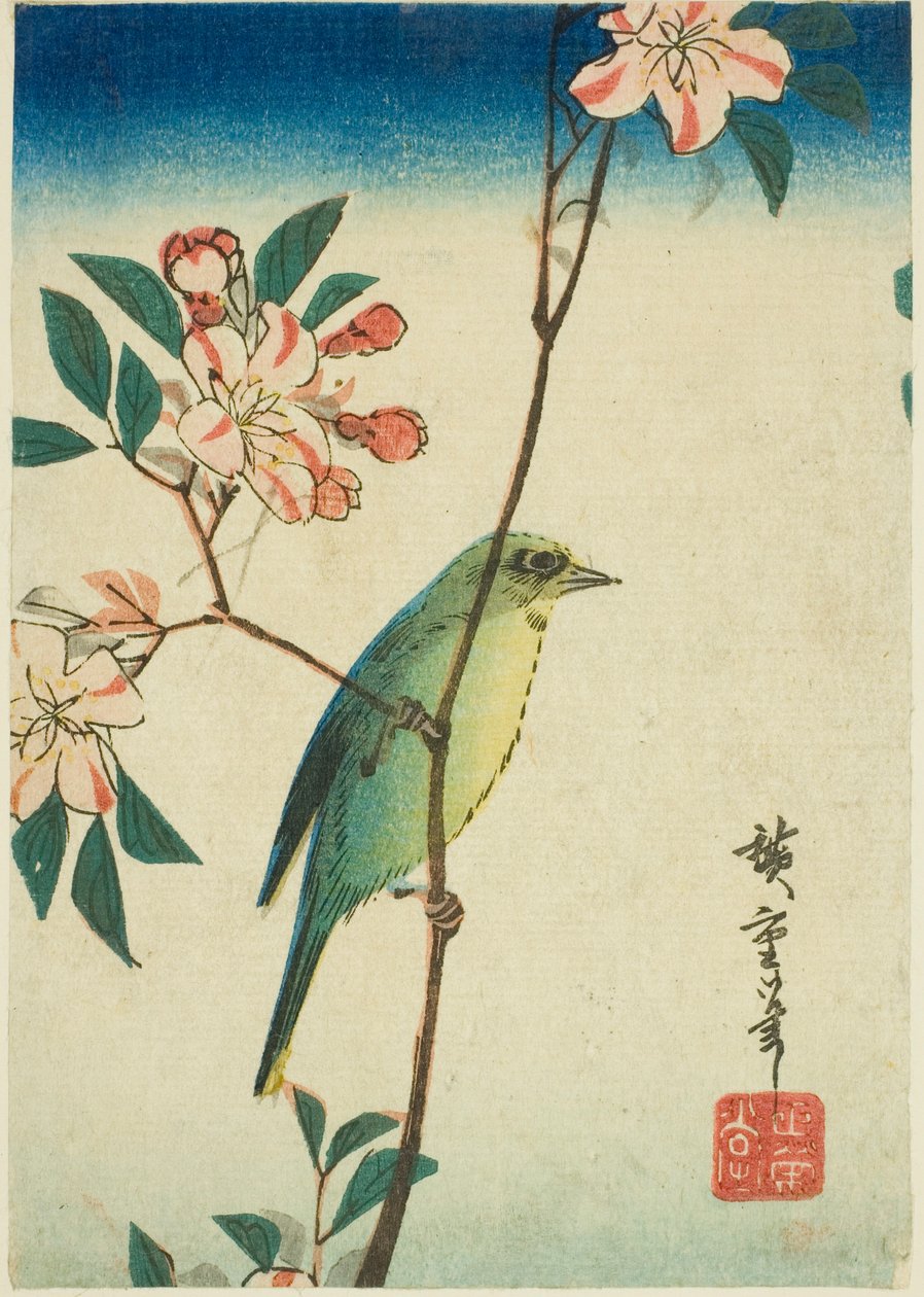 Japansk hvidt øje på blomstrende gren af Utagawa Hiroshige