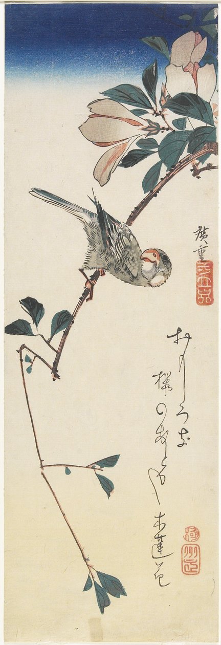 Java Sparrow og Magnolia, 1834-1839 af Utagawa Hiroshige