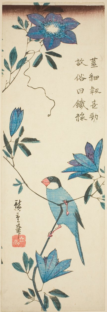 Javaspurv og klematis af Utagawa Hiroshige