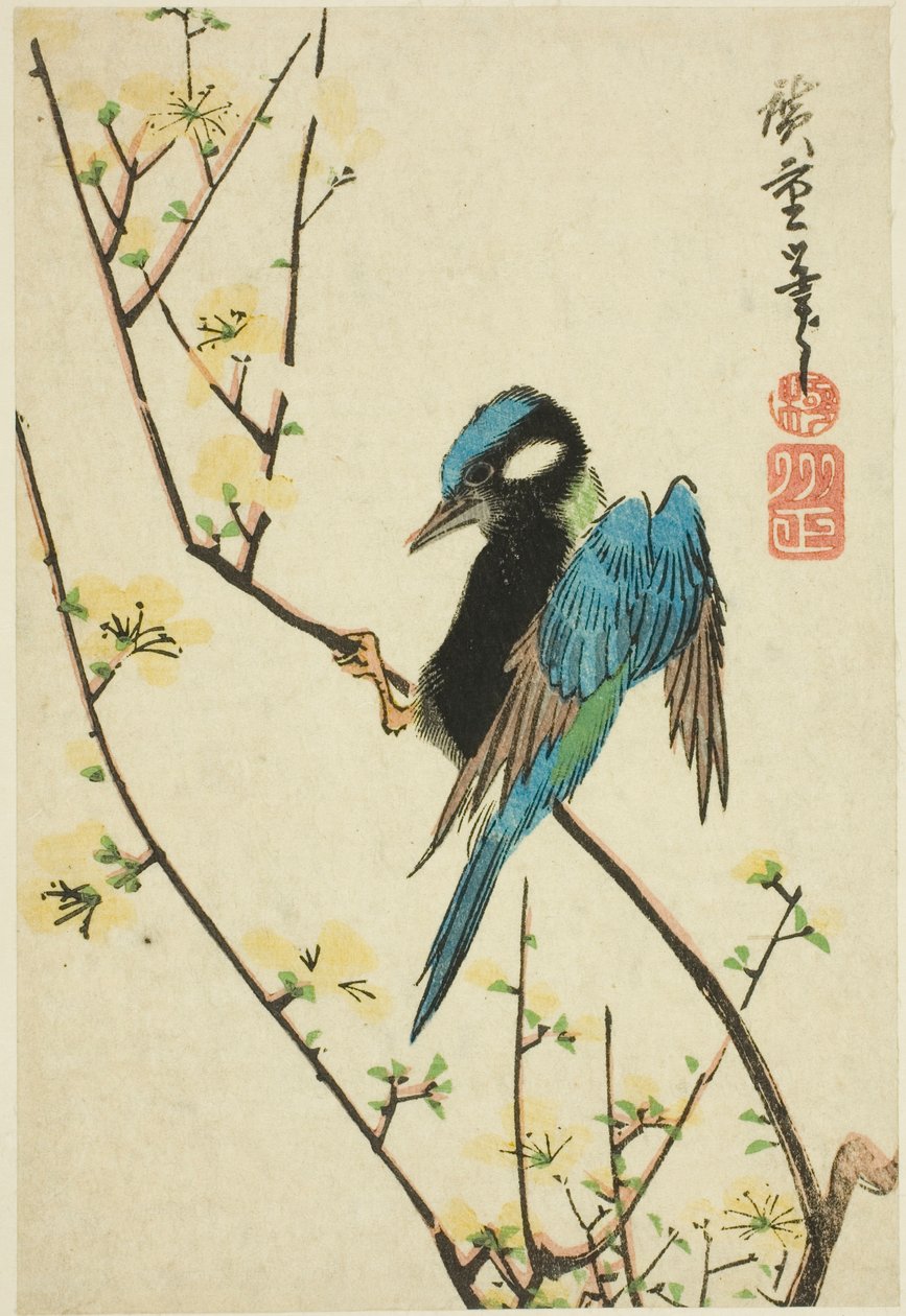 Javaspurv på kirsebærgren af Utagawa Hiroshige