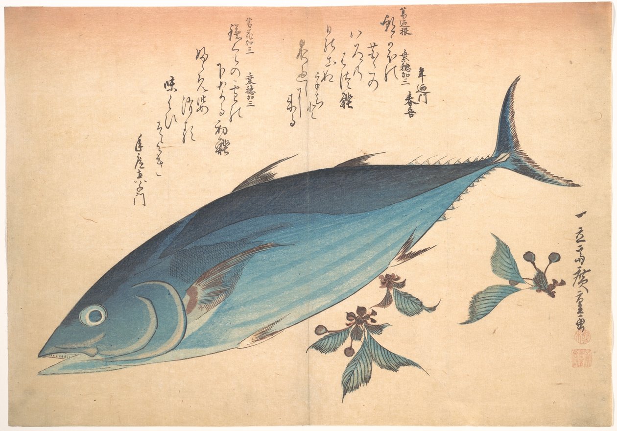 Katsuo-fisk med kirsebærknopper, fra serien Uozukushi (Alle slags fisk) af Utagawa Hiroshige