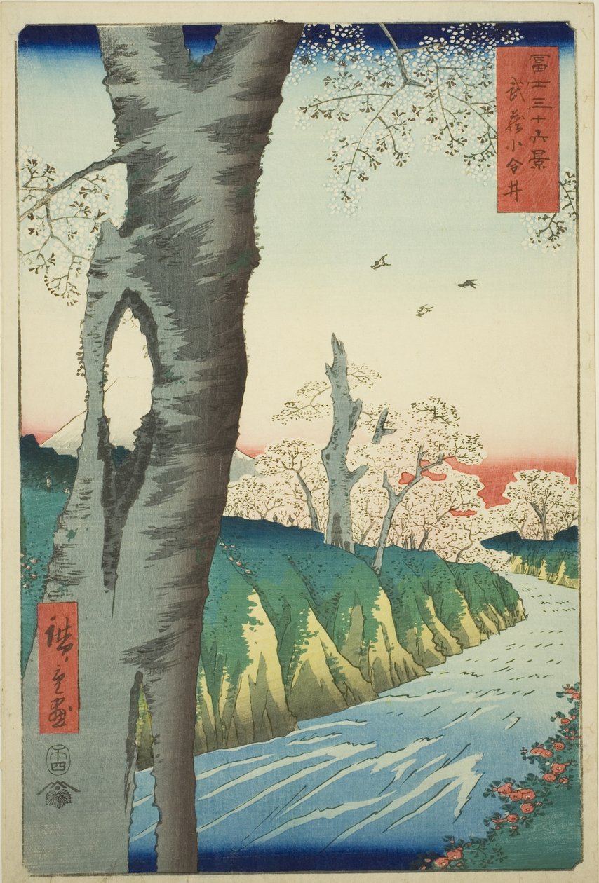 Koganei i Musashi-provinsen (Musashi Koganei), fra serien "Seksogtredive udsigter over Mount Fuji (Fuji sanjurokkei)" af Utagawa Hiroshige