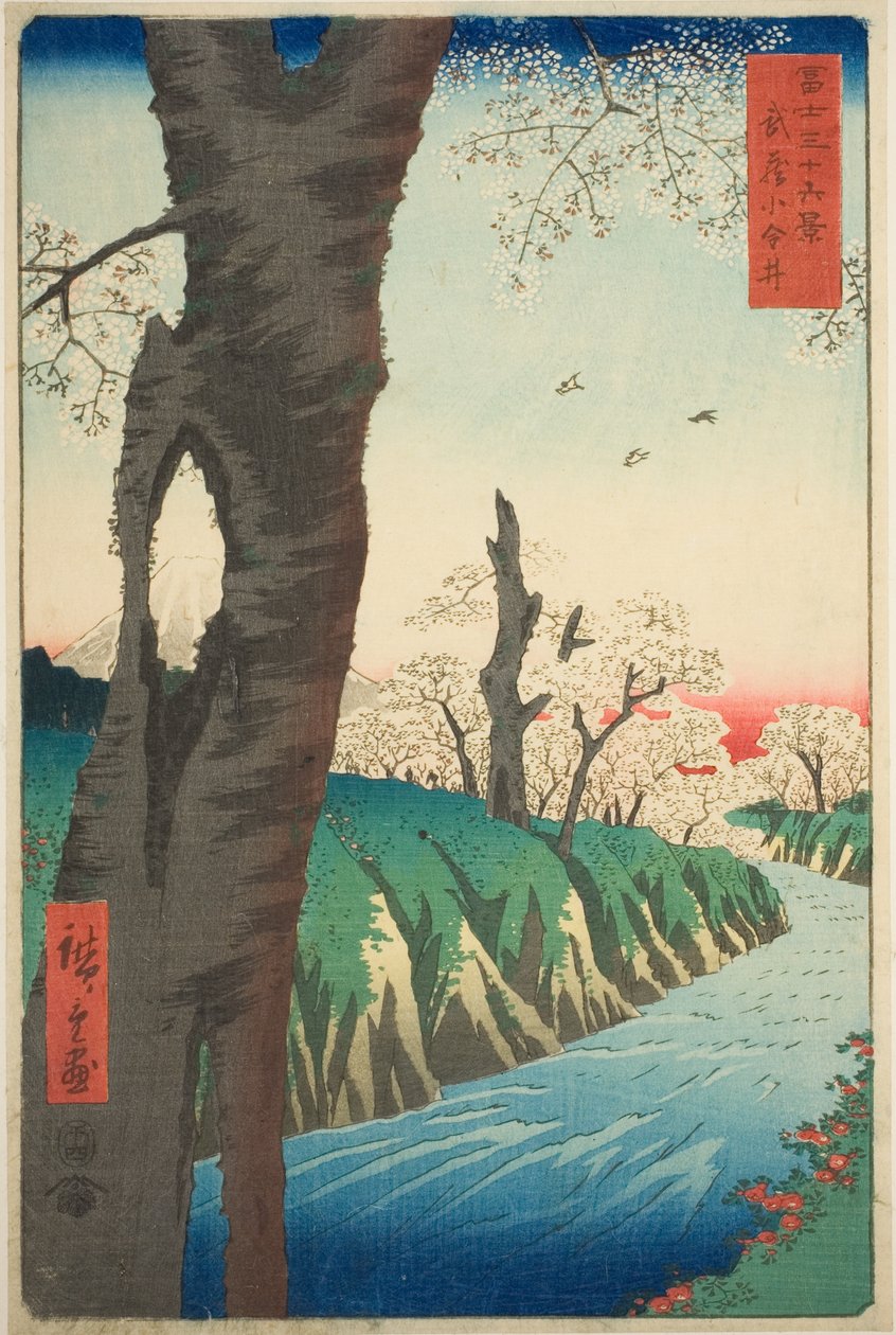 Koganei i Musashi-provinsen (Musashi Koganei), fra serien "Seksogtredive udsigter over Mount Fuji (Fuji sanjurokkei)" af Utagawa Hiroshige