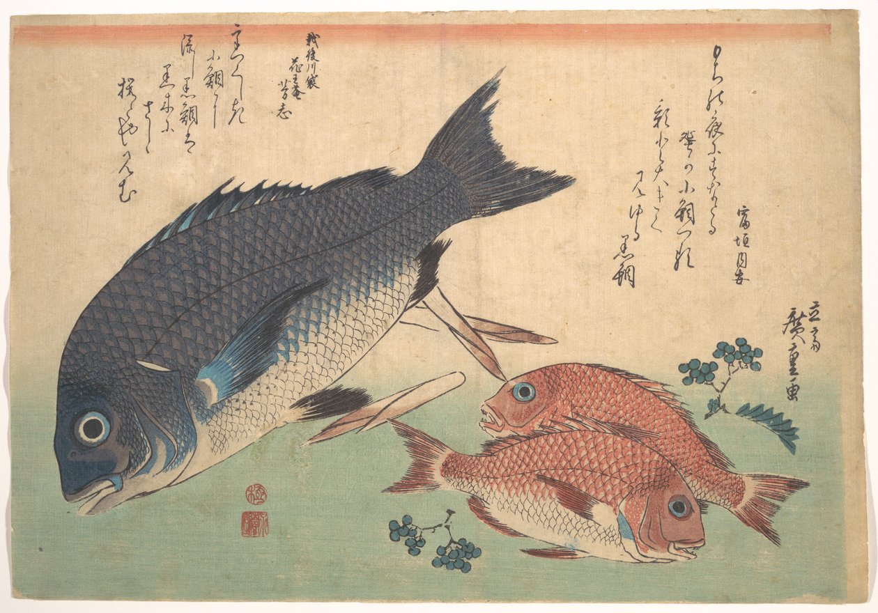 Kurodai og Kodai – fisk med bambusskud og bær, fra serien »Uozukushi« (Alle slags fisk) af Utagawa Hiroshige