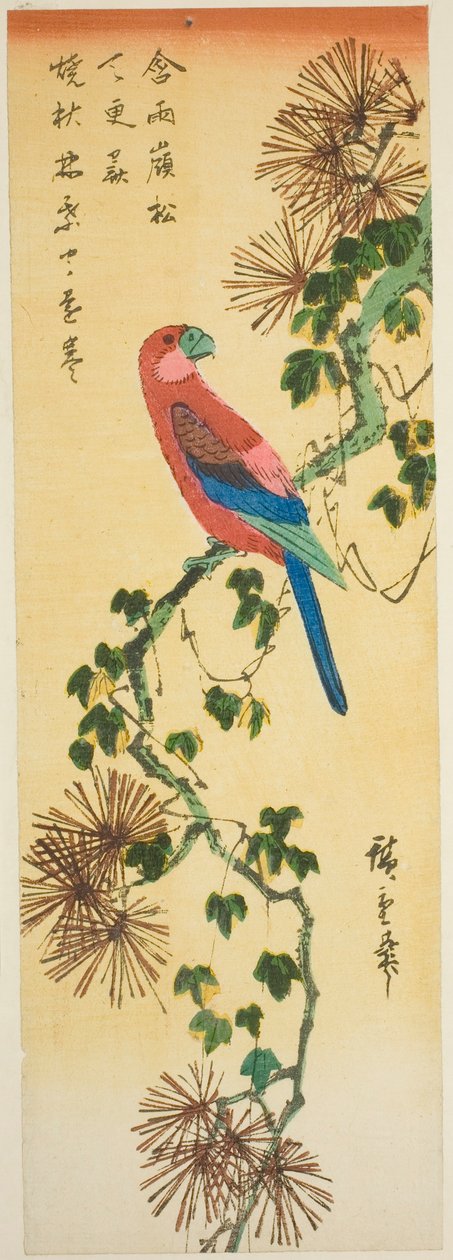 Ara på efeubeklædt fyrretræsgren af Utagawa Hiroshige