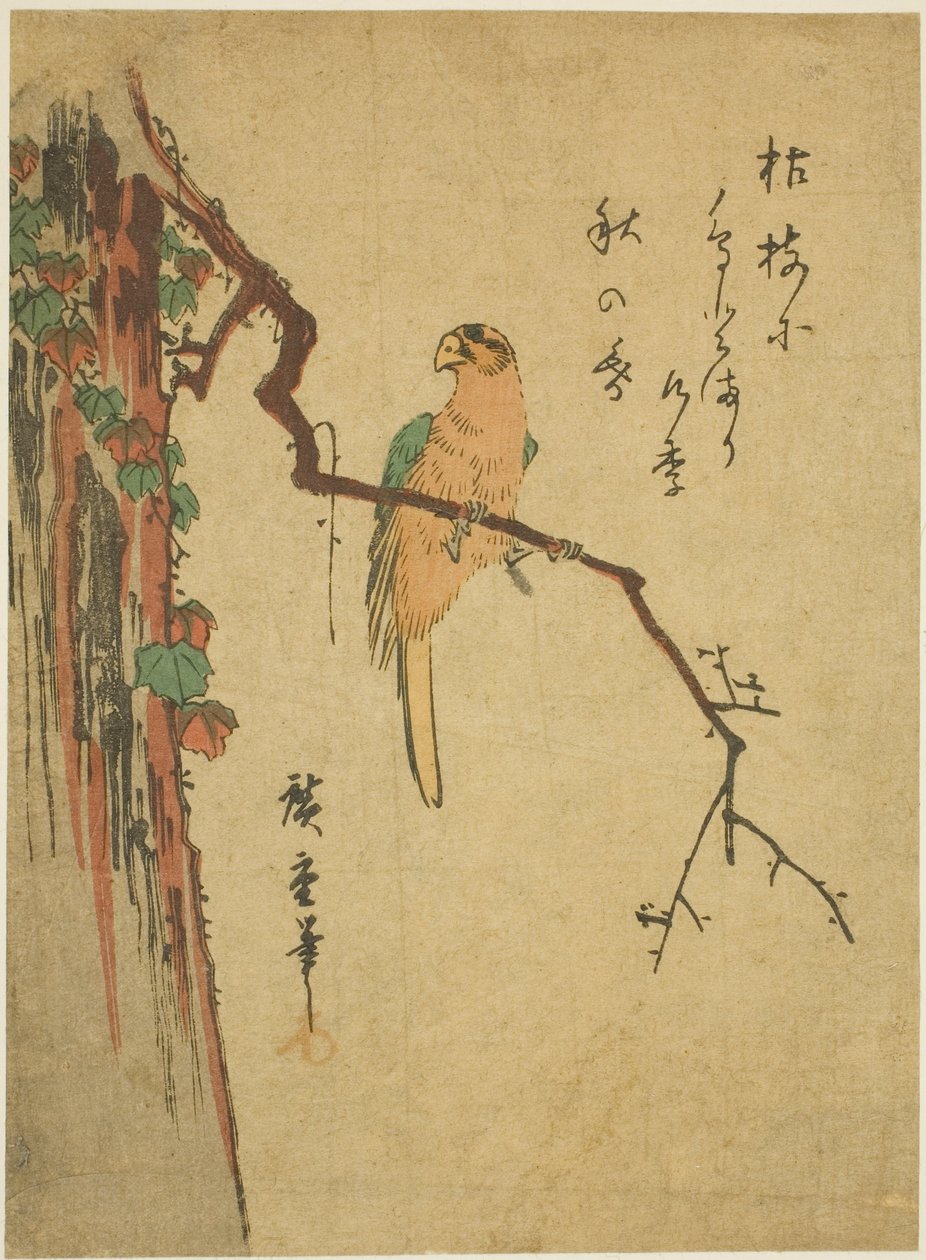 Ara på vedbenddækket træ af Utagawa Hiroshige