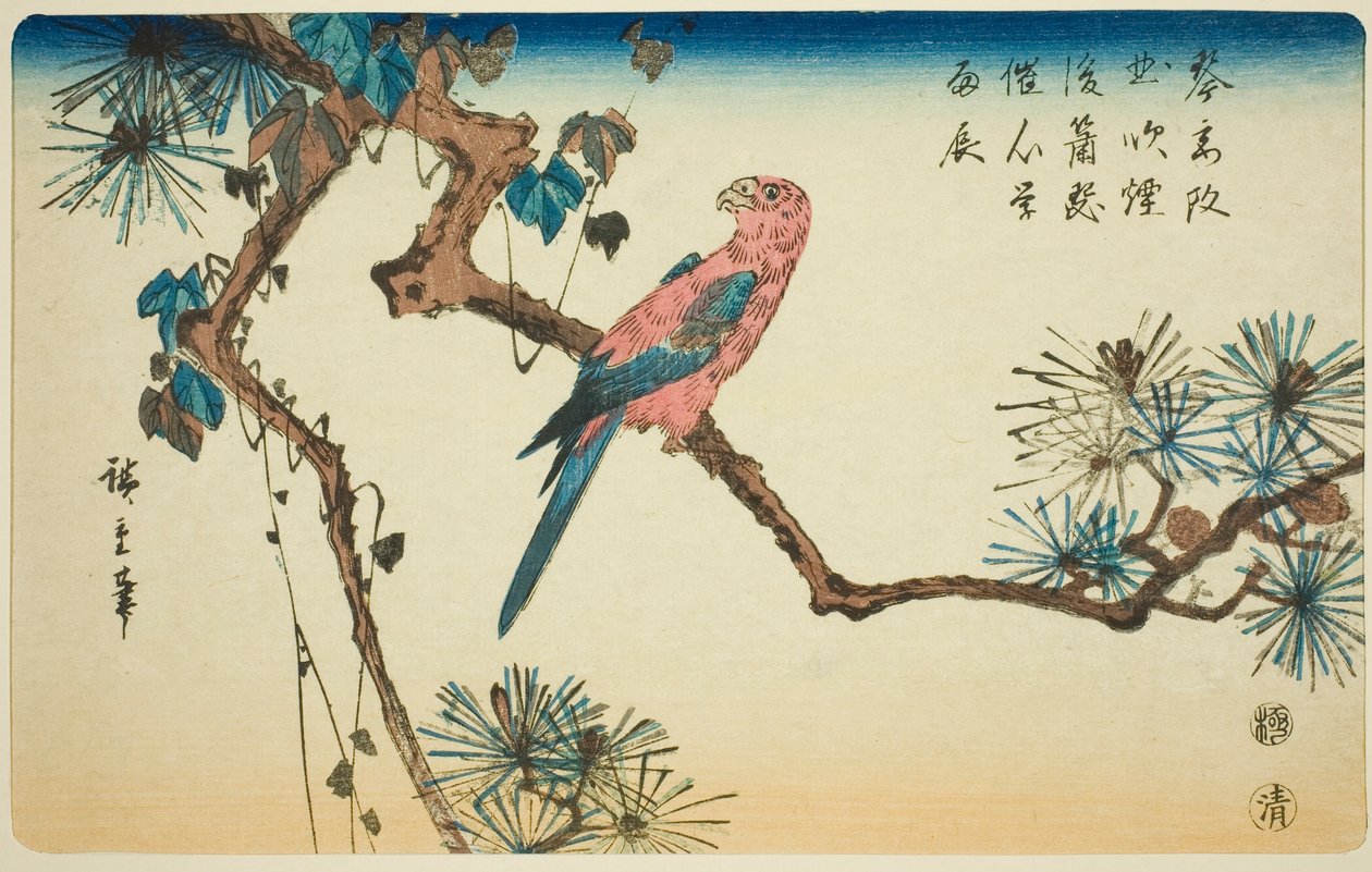 Macaw på fyrretræ gren af Utagawa Hiroshige