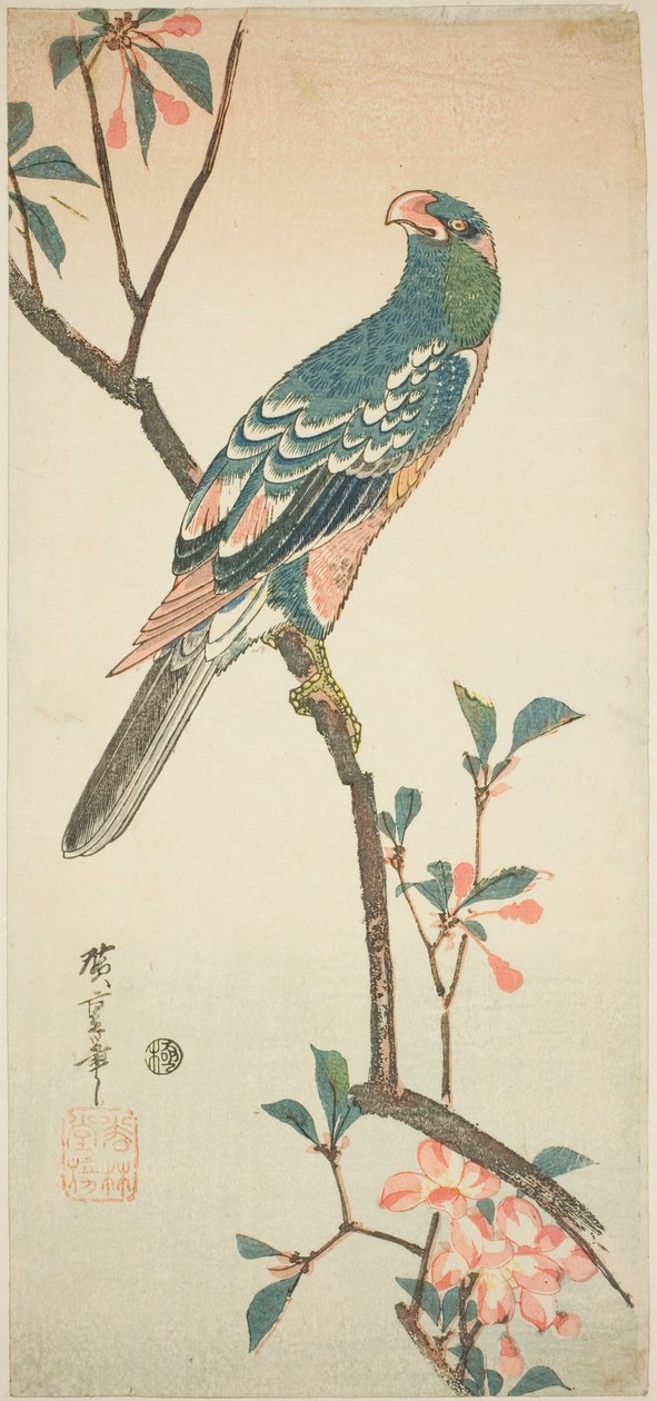 Papegøje på en blomstrende gren af Utagawa Hiroshige
