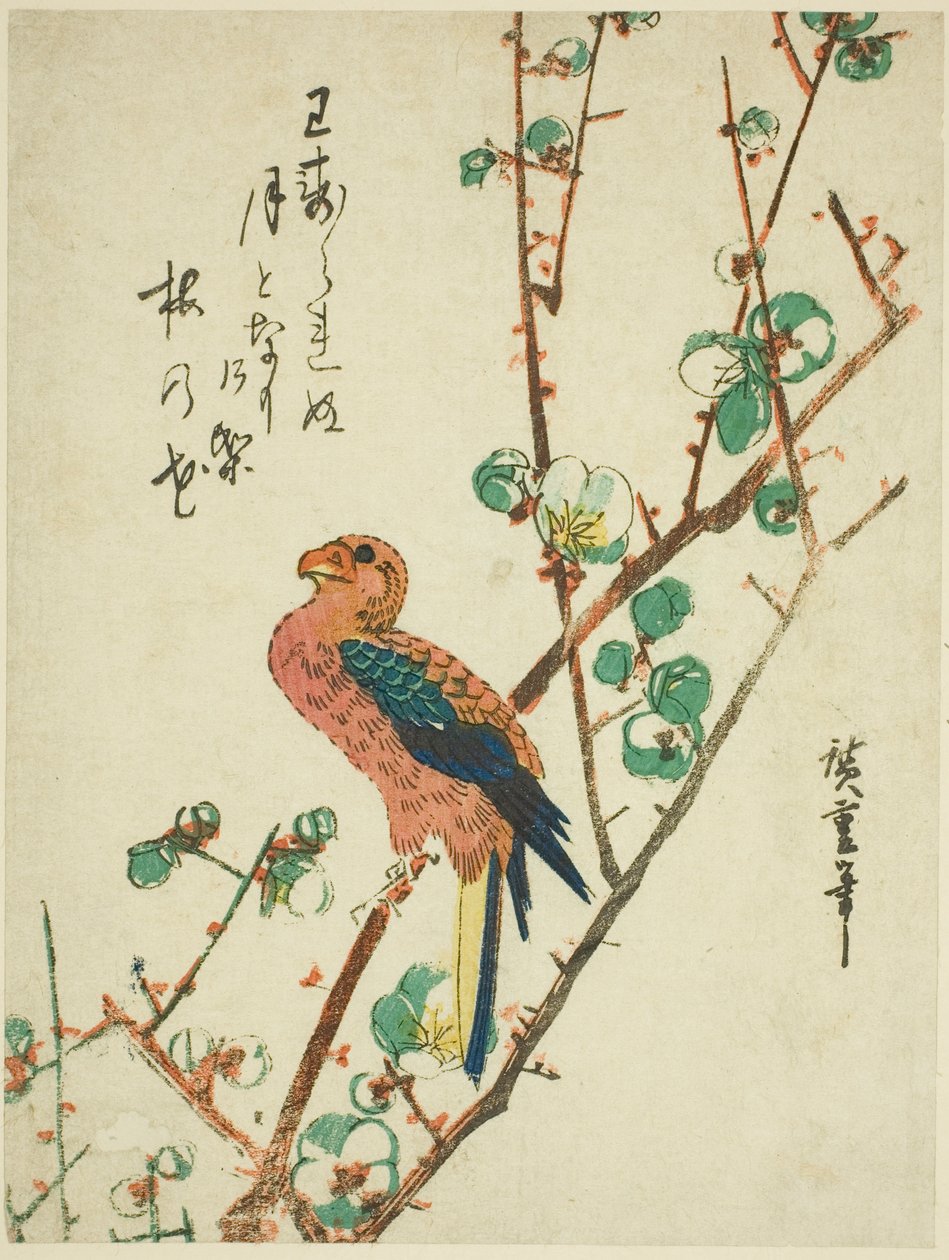 Papegøje på blommetræ af Utagawa Hiroshige