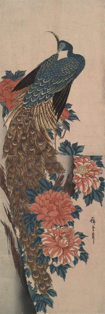 Påfugl og pæoner af Utagawa Hiroshige