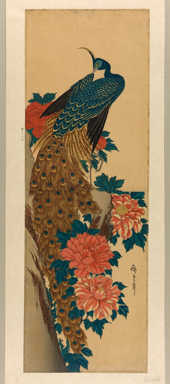 Påfugl og pæoner af Utagawa Hiroshige